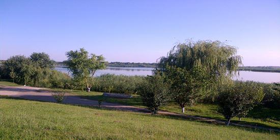 Balta Luica, Călăraşi